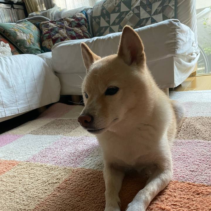 A41b2067 000e 4d13 903a b08e6cb1f2ac 1666767034905