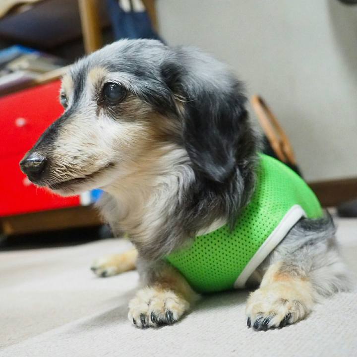 A41b2b64 e5e3 45e2 b0b6 02e3719659fc 1565482060542