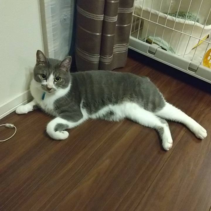 A41b3366 a8f7 4469 a52f 71d70a054742 1602512270097