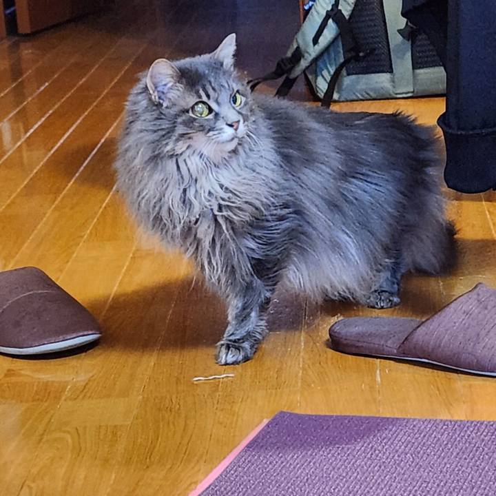 A41b3e1f b621 49c0 b75a 00298f1a840c 1711426522801