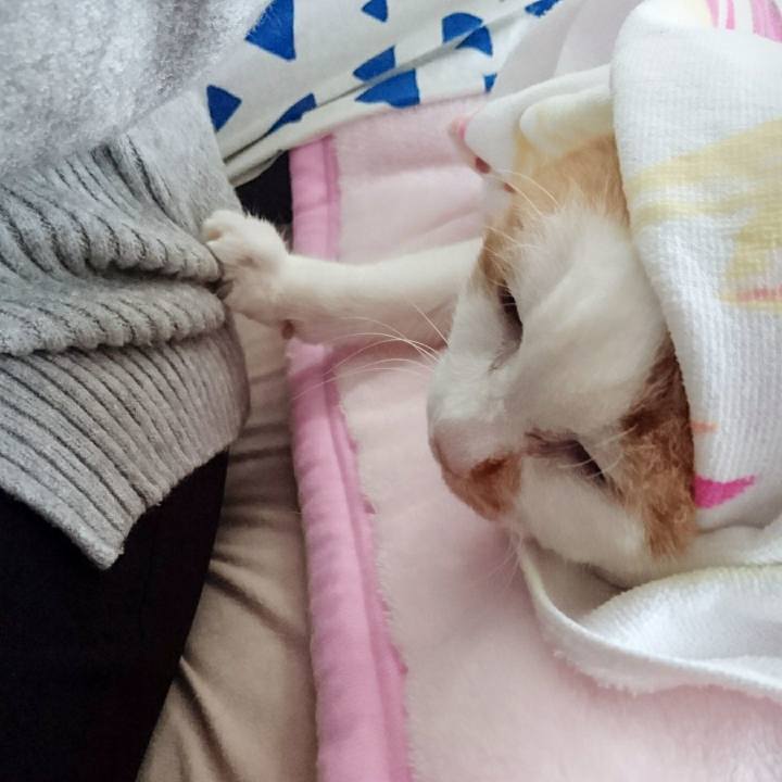 A41b5010 9744 483b 83e6 82bf49f74b2b 1514712919541