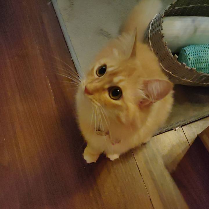 A41bd90c 3024 48fe b421 33e77bbff7e0 1663766981553