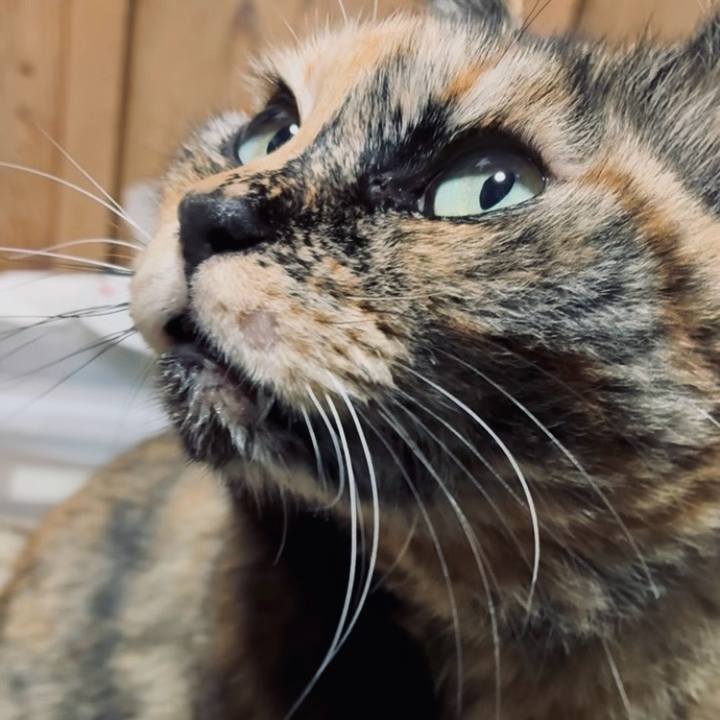 A41bdd8f 5661 4cf2 8420 8f69f95a3fd5 1771763303961