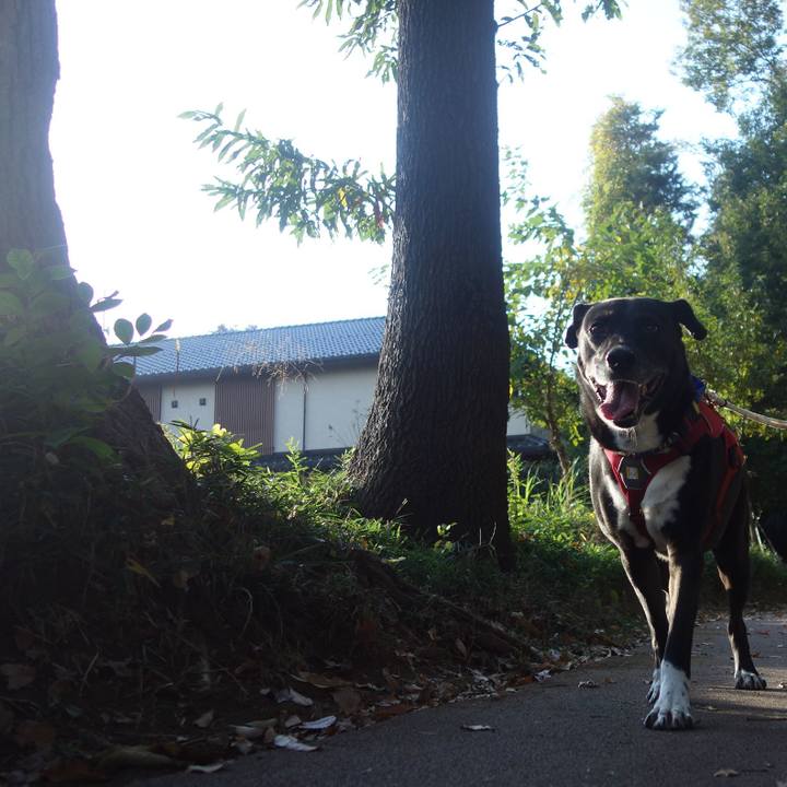 A41bedf4 73b1 4320 b2bf 8f209e9543c2 1668302564085