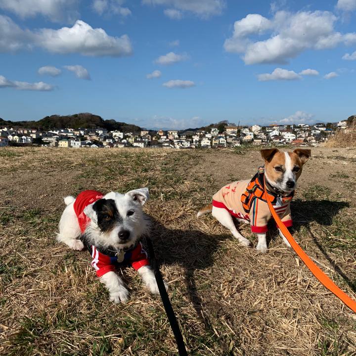 A41c026e c159 454b 803b 29d049a71e4b 1549242301879