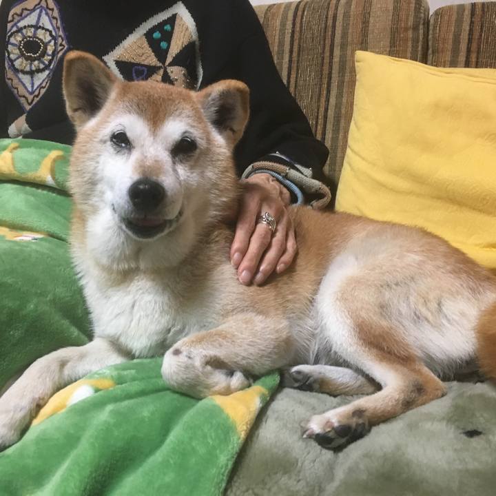 A41c10ba f2ce 41d6 b932 71e09459730f 1514044672353