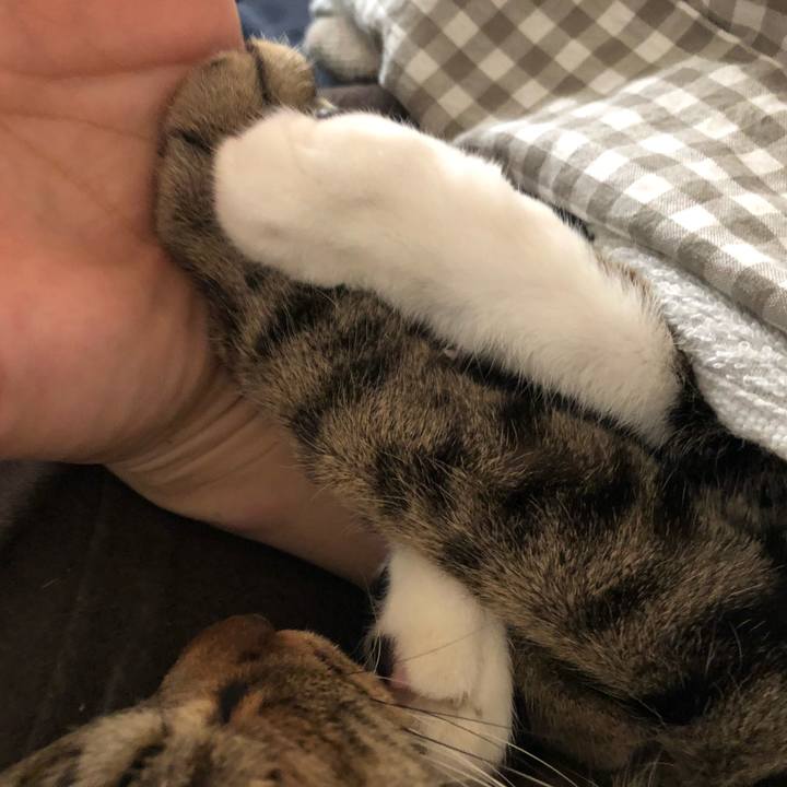 A41c31e2 dda2 4493 84d4 743ba952c315 1516071668767