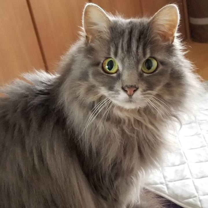 A41c3cc0 bb8b 41b6 94f9 16ce3eafb843 1589027927337