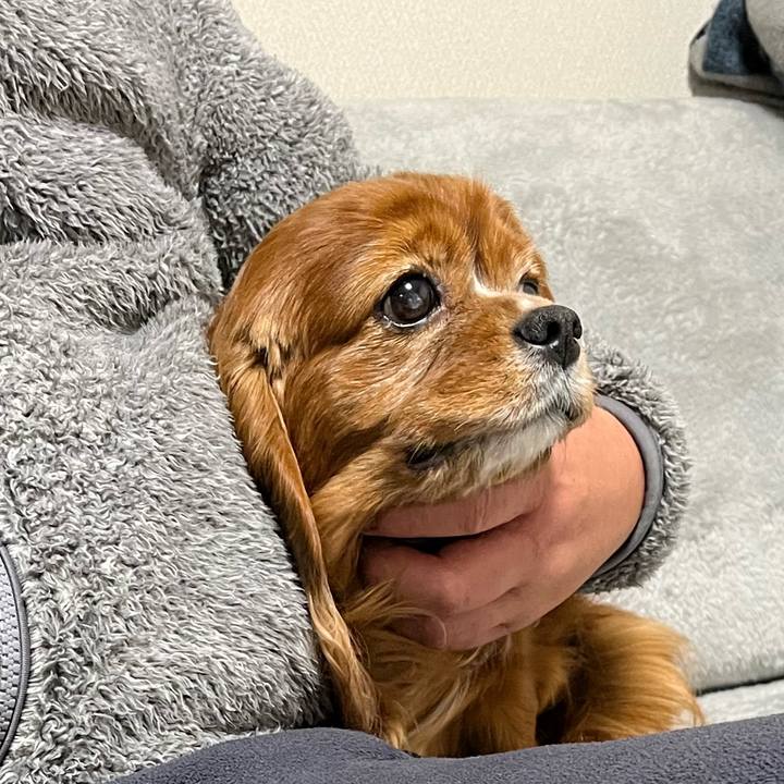 A41c6023 b71e 4014 948d 29f18f6866f1 1675721760136