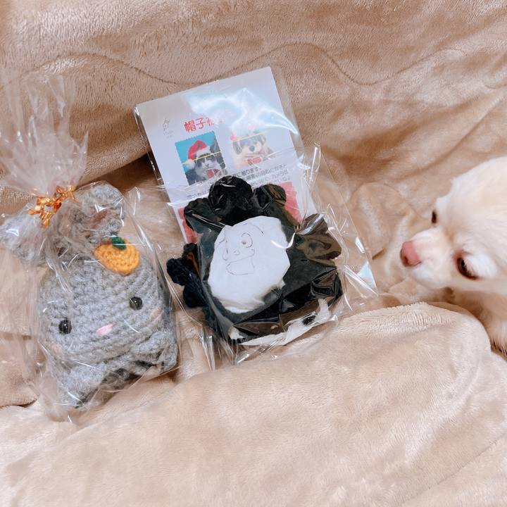 A41c6e73 9b10 4782 b5ca baa7f274148d 1670996175346