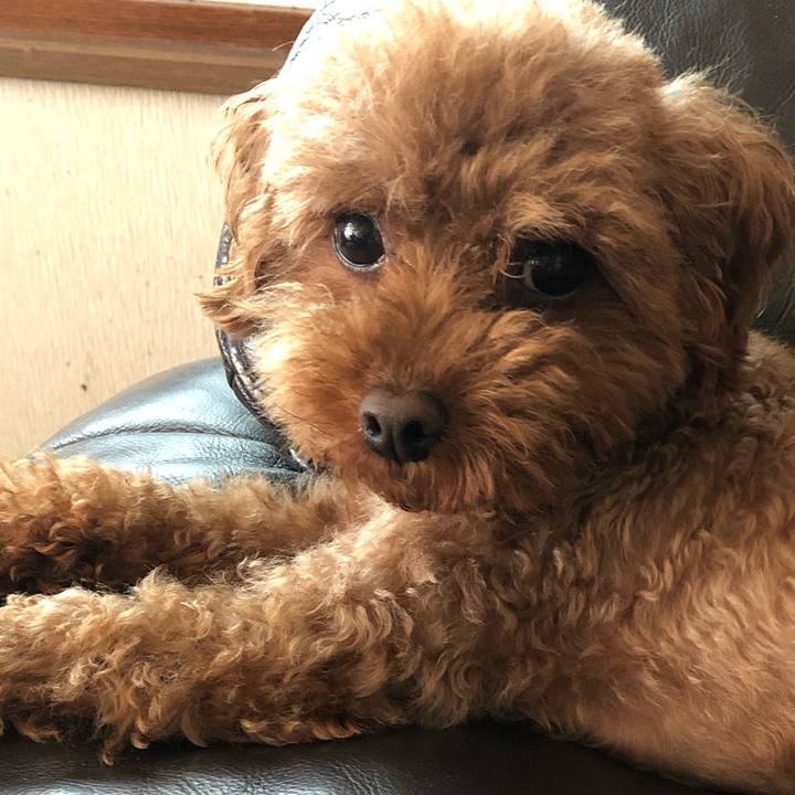 A41c8fc7 aab6 4682 b003 f2f45c6d326f 1560652284848