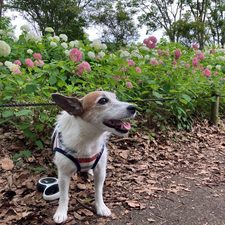 A41ccbf3 bb62 46c4 85ac af45c23de948 1719184839011