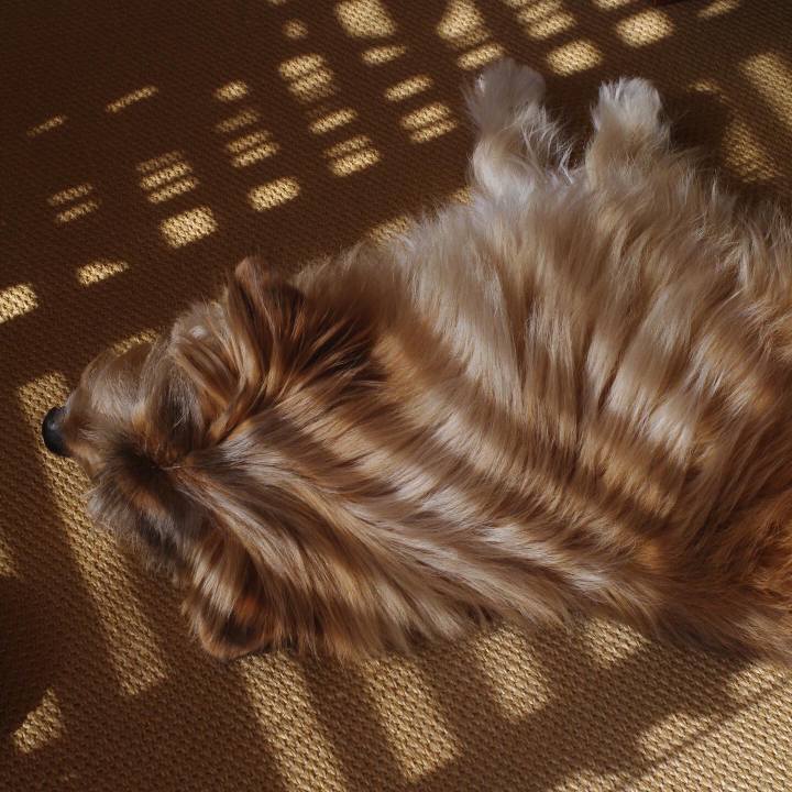 A41cd730 ce6f 49c7 aa68 87b2794a9307 1647298137608