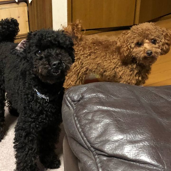 A41d3eb0 4846 4d0c 8cbf a921bc7ceb21 1519133457647