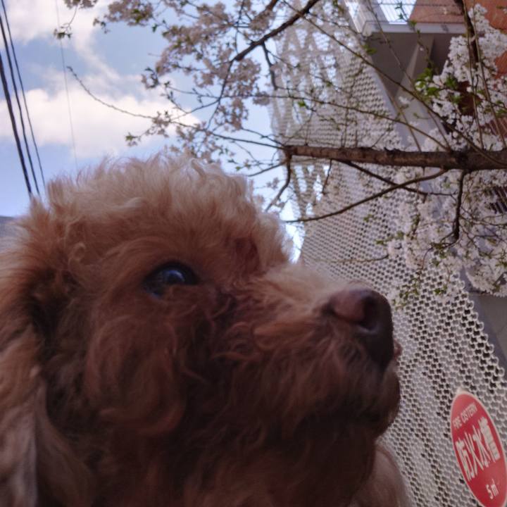 A41d4147 c43f 4171 bb81 6a9e9cf8926e 1743317003439