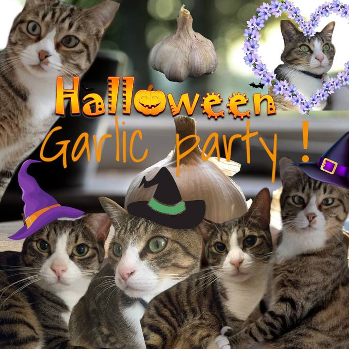 A41d4faa 27f0 4cbf 966b 811747674dc1 1698756936086