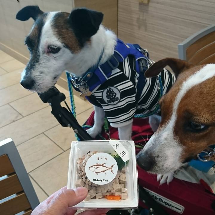 A41d6bc1 2a52 49e7 8ed7 b087a9332723 1613890738382