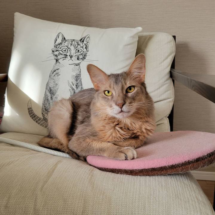 A41d96f0 8e85 4a22 84ee 2aa2f997e023 1637198735851