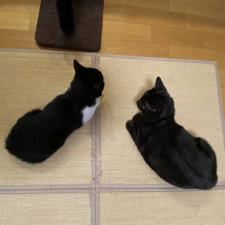 A41e06cd fc71 49bd ae59 ceb49e7c5cfb 1593431498256