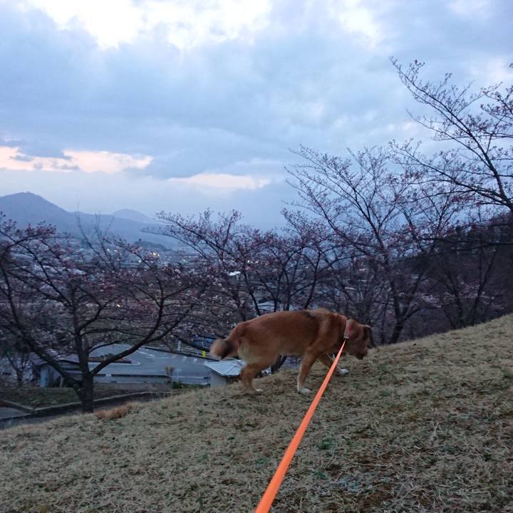 A41e163a 6ea7 4075 a24a 9e9d1962a49d 1617024496036