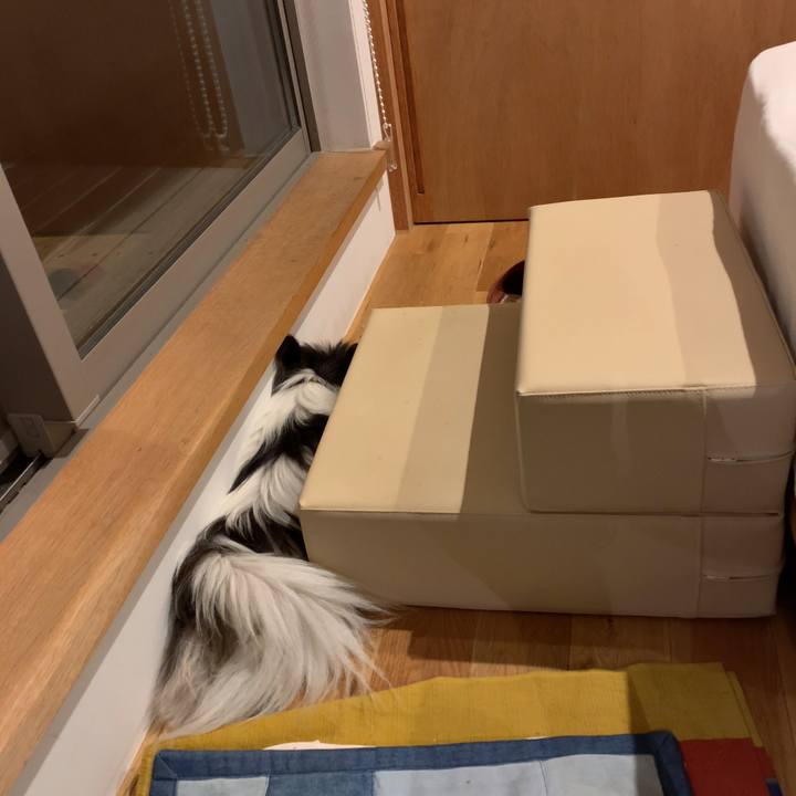 A41e21d3 b6ed 4245 881f f6fe9acba4d6 1621196776768