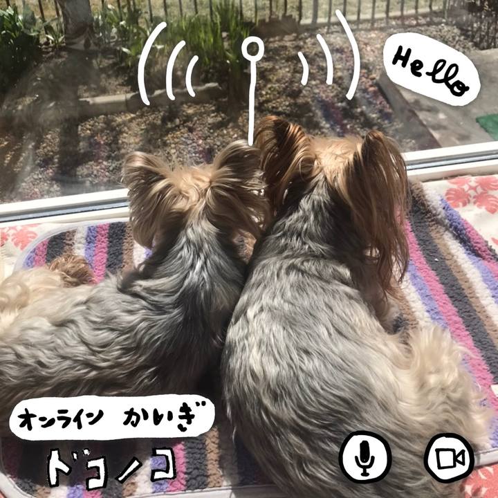 A41e2c29 b73c 4ac5 be85 b93bf94fce26 1590743518652