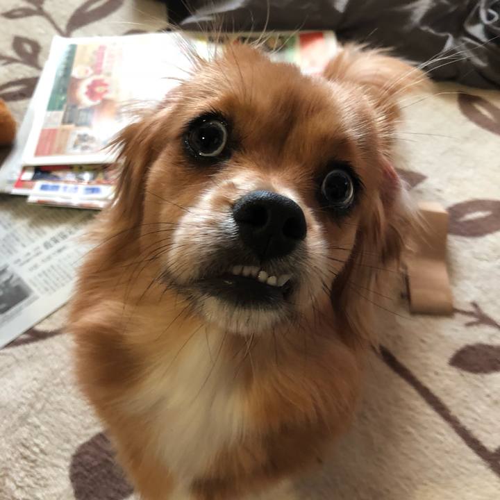 A41e5e4e 6a29 4dc8 ae51 64868107954d 1509660057276