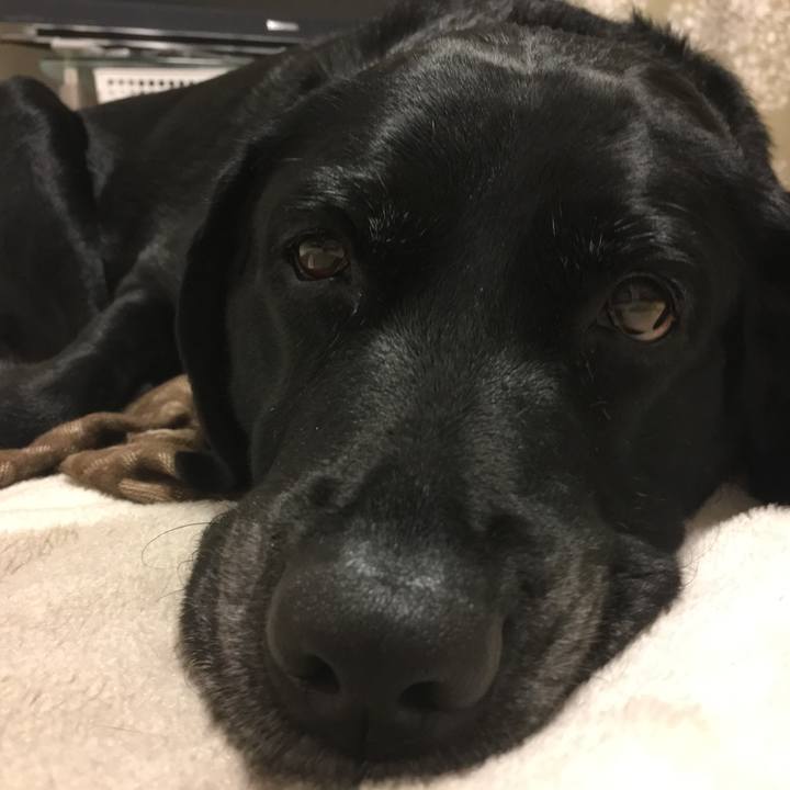 A41e608f fff2 421e bddc 518adbac5b67 1511434766850