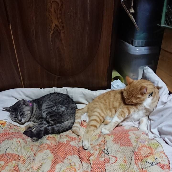 A41e622e 3373 4735 b64b 860c125e3d0e 1591363851632