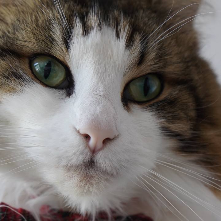 A41ec368 dac2 42aa b9ba d69c01166f9b 1613214735732