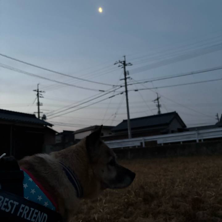 A41edb00 54ab 43d4 bad2 fea1aa1198ba 1737638932749