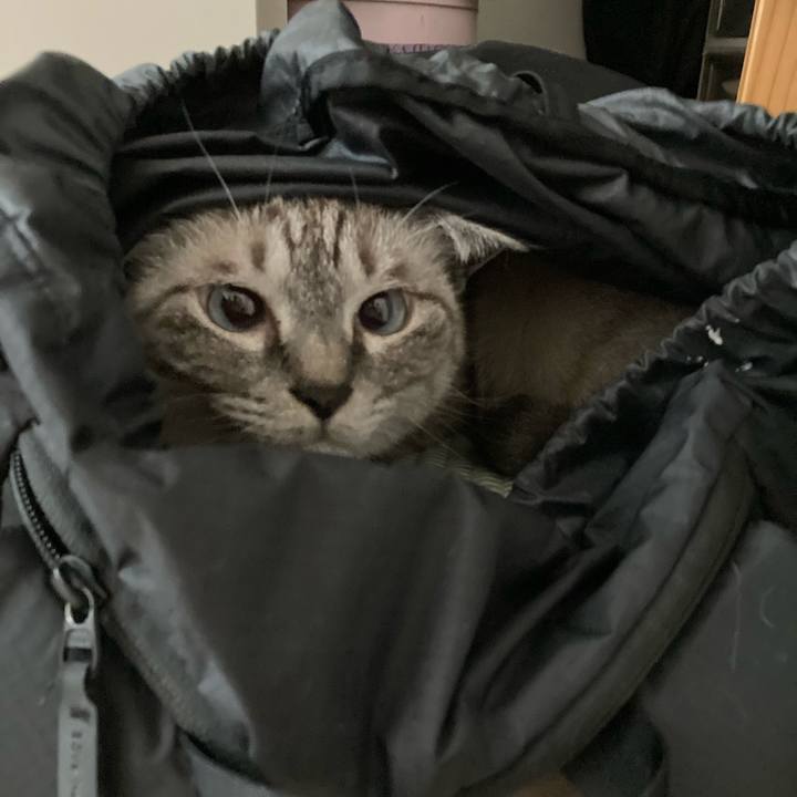 A41f035f 18f1 4c82 b168 bdb19a02bae8 1627426825405