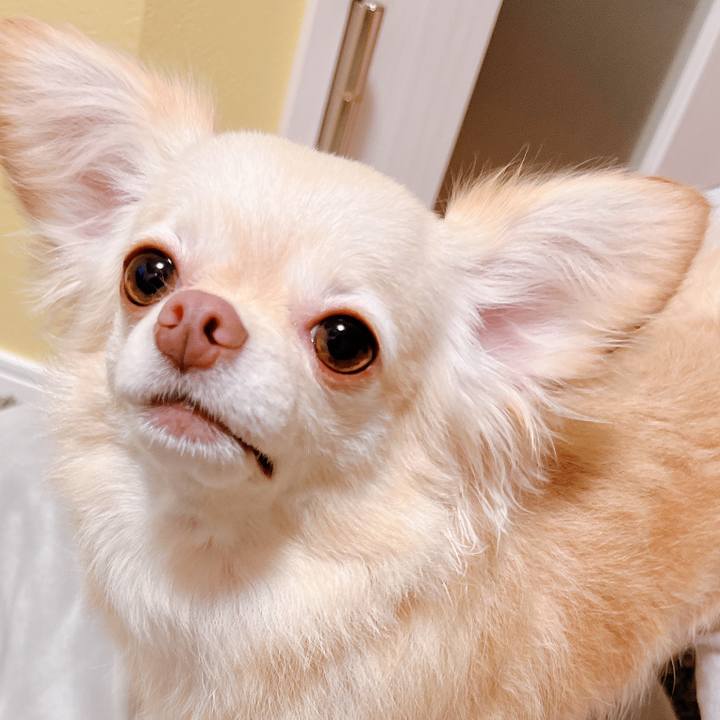 A41f21b2 3c19 47f5 b441 7c5256aef69d 1660006511904