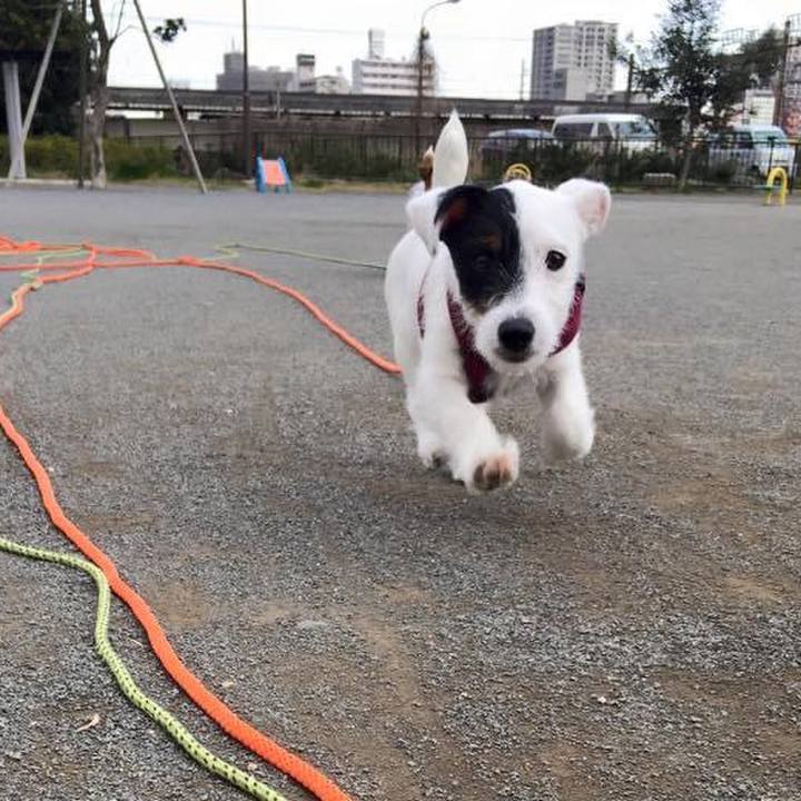 A41f26f1 97b5 447b ae23 2f2d043cd2cd 1711151703603