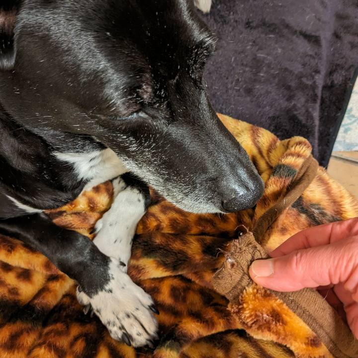 A41f6600 33cf 4b28 a28f 25baa007f3d8 1711279869358