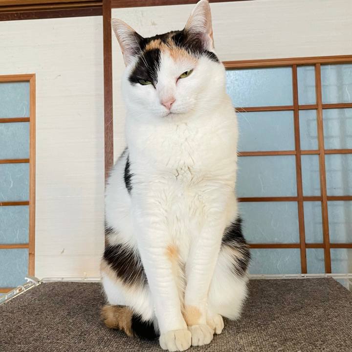 A41fae18 c26f 46cf 9f0f 2730cfa8cd31 1620179244831