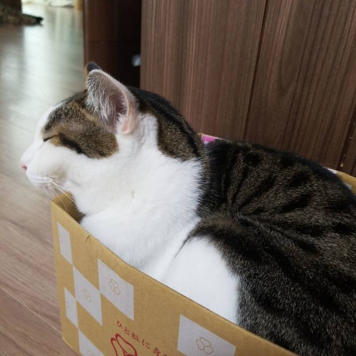 A41fc988 2e28 4405 9b61 e8e145d0b45e 1564609697715