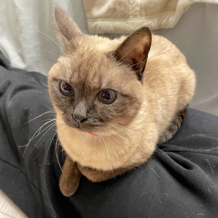 A41ff1bb d3de 4b4d 9e78 35ede0d0e771 1770124300096