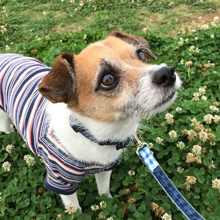 A420045f a344 4f25 8c6f 640eba3c1736 1528588748031