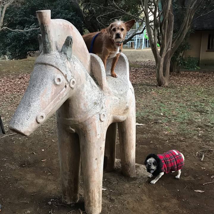 A4200852 3e88 412d b4d4 e06b86c6a83c 1610538429664