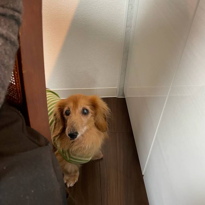 A4201785 d362 4af1 983e 9360d3380335 1700388727290