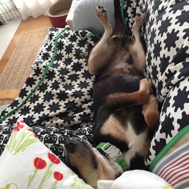 A4201e00 ceee 4fc6 b046 05b215b7423a 1542780438917