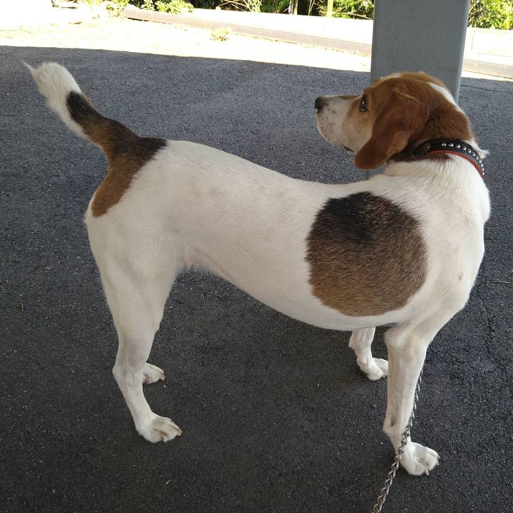 A4201f0b b0a5 400e bc2c a4a189b31095 1625986784707