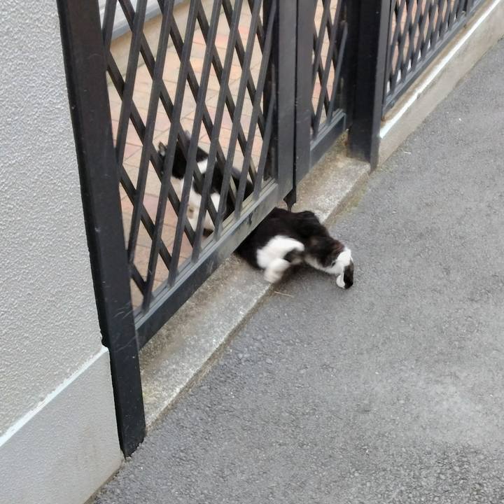 A4202ec4 ebc3 48f1 84b7 5b8a0fed6a38 1706573169602