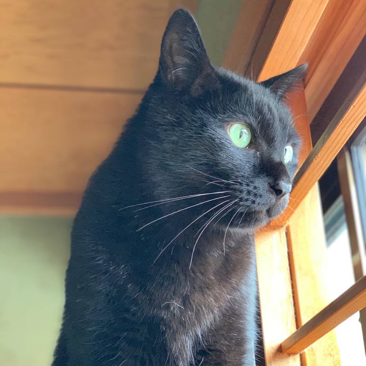 A4203bff bfa6 4b3e b25b 8f17457565e5 1545183029072