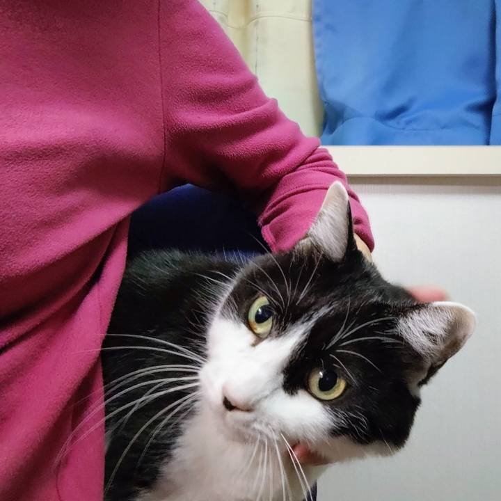 A4204410 6428 4b13 a790 12296ff90354 1763559936117