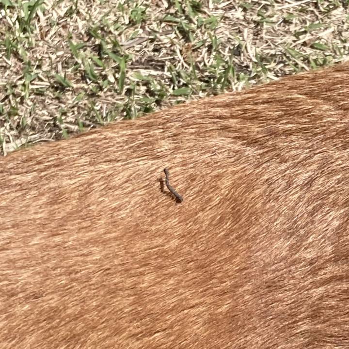 A4207ce6 f881 4e89 afba f96af194c46a 1712794056942