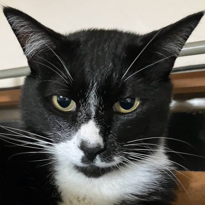 A42087f2 730b 4e49 867e 3eea441af470 1723951834059