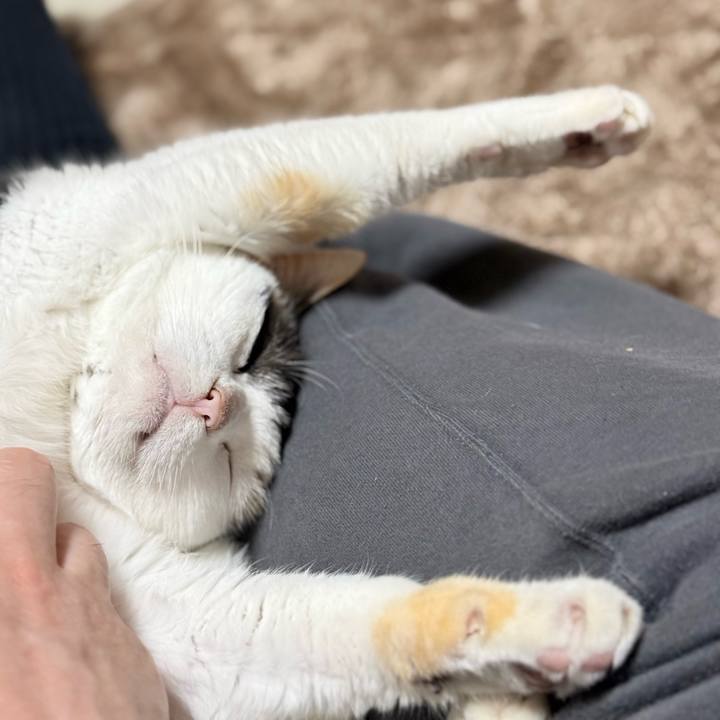 A420d0ea ffd0 442b b8ed 451148d23fa6 1773194031919