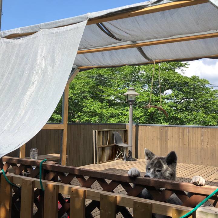 A420dff1 4b6e 4fd9 92e7 ac0b44c857c4 1558056534721